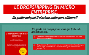 Le Guide du Micro entrepreneur en Dropshipping